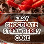 Easy Chocolate Strawberry Cake