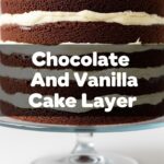 Chocolate And Vanilla Cake Layer