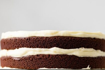 Chocolate And Vanilla Cake Layer