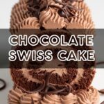 Chocolate Swiss Cake