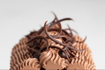 Chocolate Swiss Cake