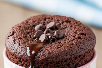 Low Calorie Chocolate Mug Cake