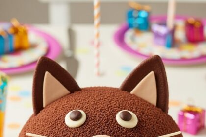 Chocolate Cat Cake