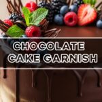 Chocolate Cake Garnish
