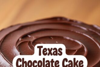 Texas Chocolate Cake