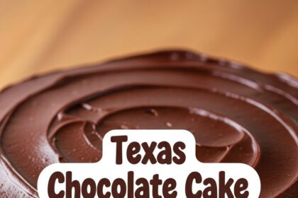 Texas Chocolate Cake