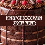 Best Chocolate Cake Ever