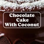 Chocolate Cake With Coconut