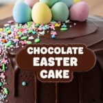Chocolate Easter Cake