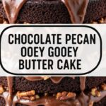 Chocolate Pecan Ooey Gooey Butter Cake