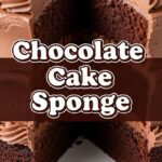 Chocolate Cake Sponge