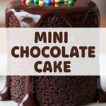 Mini Chocolate Cake