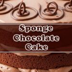 Sponge Chocolate Cake