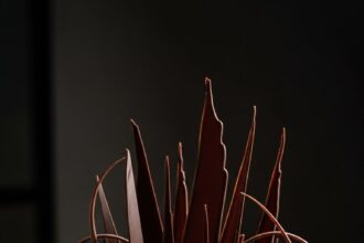 Chocolate Cake With Chocolate Decoration