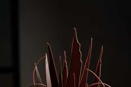 Chocolate Cake With Chocolate Decoration