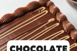 Chocolate Box Cake Recipes