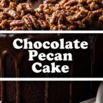 Chocolate Pecan Cake