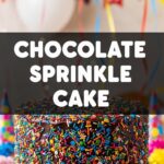 Chocolate Sprinkle Cake