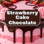 Strawberry Cake Chocolate