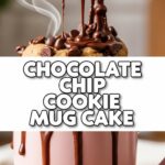 Chocolate Chip Cookie Mug Cake