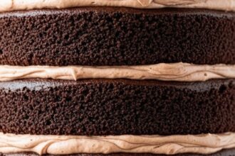 Chocolate Cake Layers