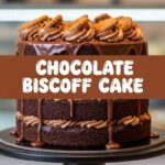 Chocolate Biscoff Cake
