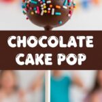 Chocolate Cake Pop