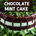 Chocolate Mint Cake