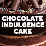 Chocolate Indulgence Cake