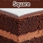 Chocolate Cake Square