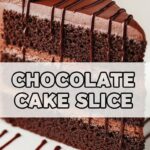Chocolate Cake Slice