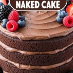 Chocolate Naked Cake