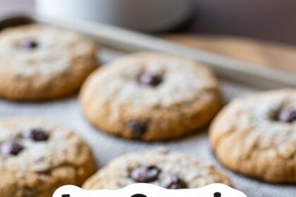 Low Calorie Oatmeal Chocolate Chip Cookies