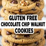 Gluten Free Chocolate Chip Walnut Cookies