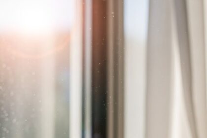 Sunbutter Chocolate Chip Cookies