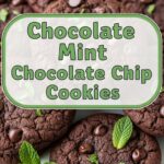 Chocolate Mint Chocolate Chip Cookies