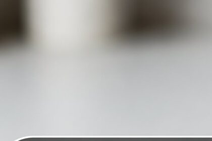 Chocolate Chip Cookies In The Microwave