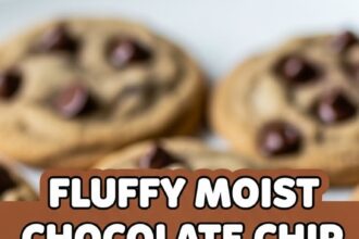 Fluffy Moist Chocolate Chip Cookies