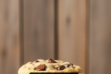 Crazy For Crust Chocolate Chip Cookies