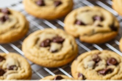 Easy Chewy Chocolate Chip Cookies Recipe
