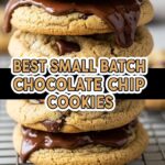 Best Small Batch Chocolate Chip Cookies
