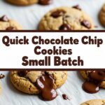 Quick Chocolate Chip Cookies Small Batch