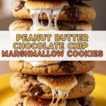 Peanut Butter Chocolate Chip Marshmallow Cookies