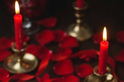 Heart Shape Chocolate Chip Cookies