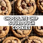 Chocolate Chip Sourdough Cookies