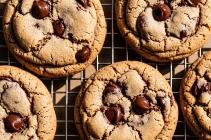 Chocolate Chip Sourdough Cookies