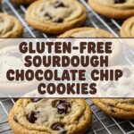 Gluten-Free Sourdough Chocolate Chip Cookies