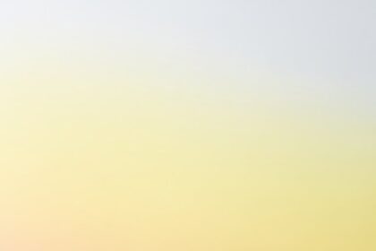 Aesthetic Chocolate Chip Cookies