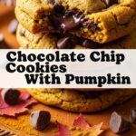 Chocolate Chip Cookies With Pumpkin