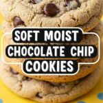 Soft Moist Chocolate Chip Cookies